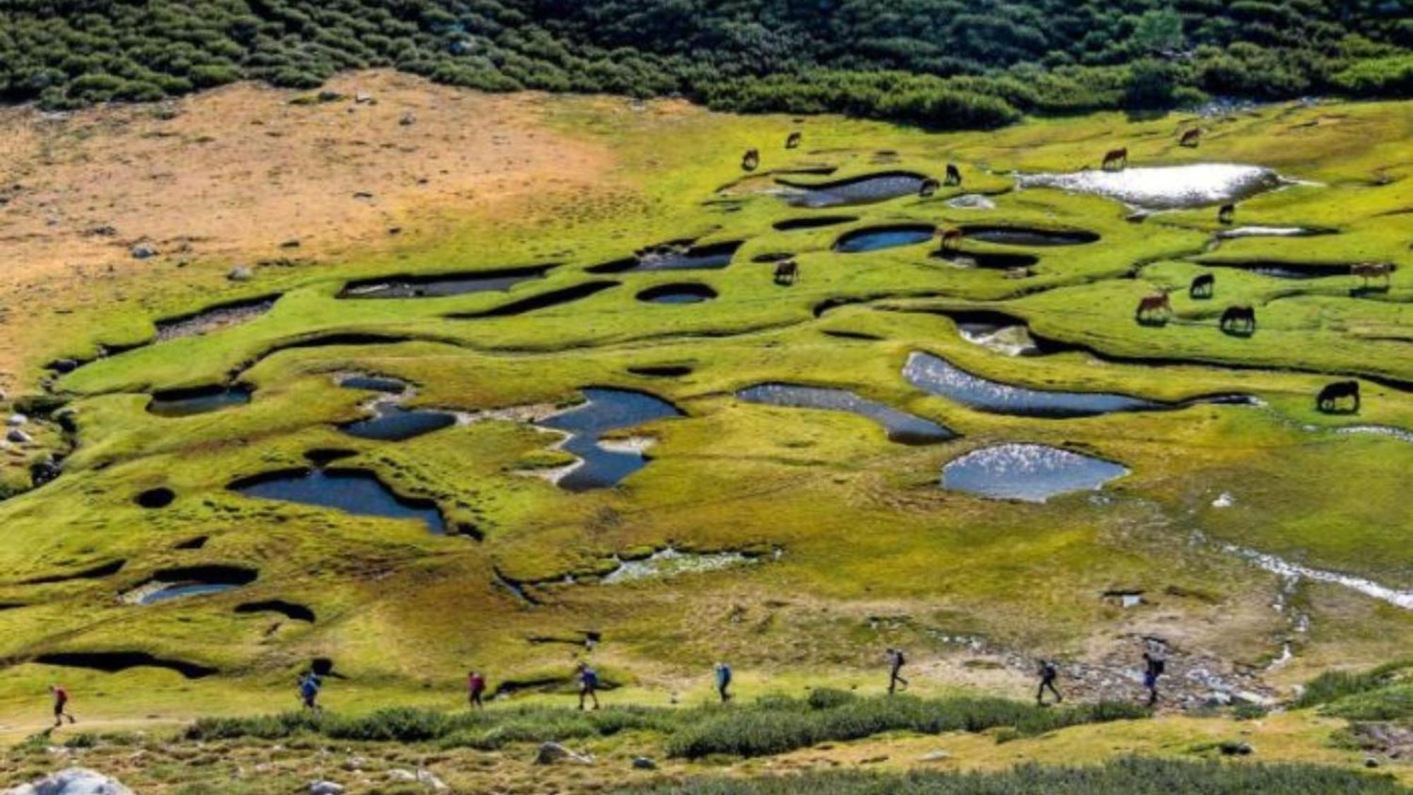 Domaine Le Mouflon D'Or Hotell Zonza Eksteriør bilde